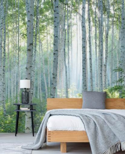 Weiße personalisierbare Birkentapete mit dem Titel White Birch Forest In Summer für Wohnzimmer