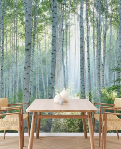 Weiße personalisierbare Birkentapete mit dem Titel White Birch Forest In Summer für Wohnzimmer
