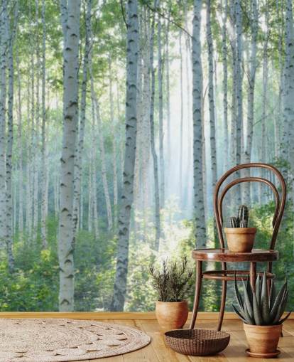 hvidt tilpasseligt birketræ tapetmaleri kaldet White Birch Forest In Summer til stuer hvidt tilpasseligt birketræ tapetmaleri kaldet White Birch Forest In Summer til stuer