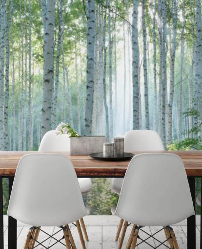 mural de papel pintado de abedul blanco personalizable llamado White Birch Forest In Summer para salas de estar mural de papel pintado de abedul blanco personalizable llamado White Birch Forest In Summer para salas de estar