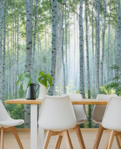 mural de papel pintado de abedul blanco personalizable llamado White Birch Forest In Summer para salas de estar