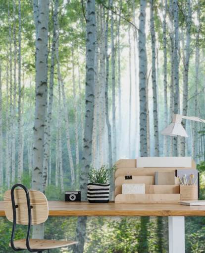 Weiße personalisierbare Birkentapete mit dem Titel White Birch Forest In Summer für Wohnzimmer