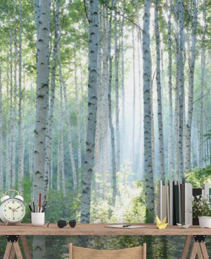 mural de papel pintado de abedul blanco personalizable llamado White Birch Forest In Summer para salas de estar