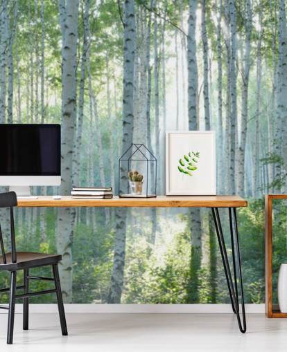 carta da parati murale bianca personalizzabile con albero di betulla chiamata White Birch Forest In Summer per salotti carta da parati murale bianca personalizzabile con albero di betulla chiamata White Birch Forest In Summer per salotti