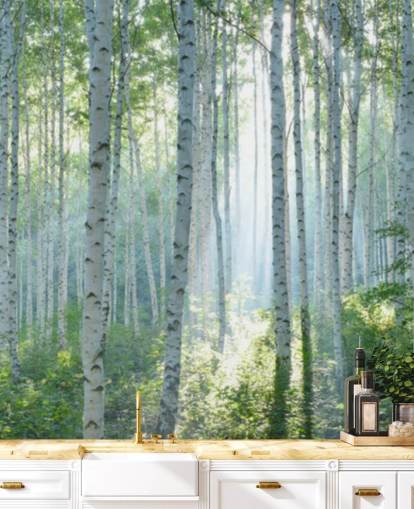 Weiße personalisierbare Birkentapete mit dem Titel White Birch Forest In Summer für Wohnzimmer
