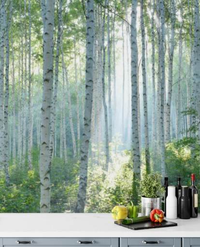 vit anpassningsbar björkträd tapetväggmålning kallad White Birch Forest In Summer för vardagsrum