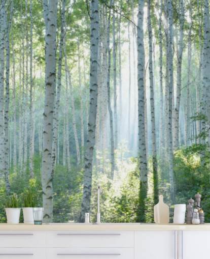 hvitt tilpassbart bjørketretapet veggmaleri kalt White Birch Forest In Summer for stuer