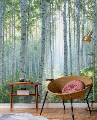 papier peint mural de bouleau blanc personnalisable appelé White Birch Forest In Summer pour les salons