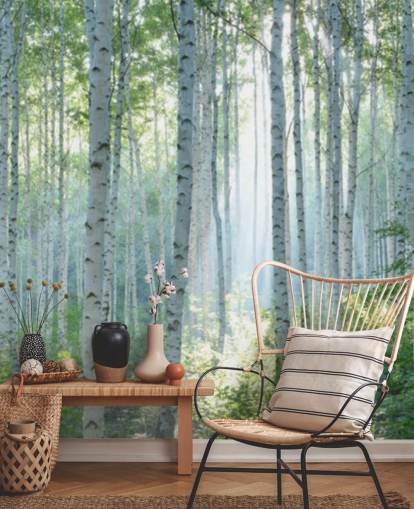 Weiße personalisierbare Birkentapete mit dem Titel White Birch Forest In Summer für Wohnzimmer