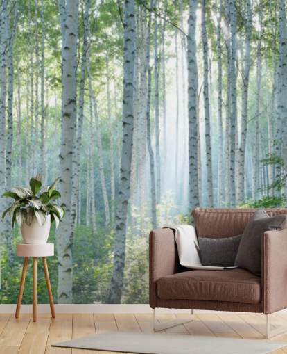 Weiße personalisierbare Birkentapete mit dem Titel White Birch Forest In Summer für Wohnzimmer
