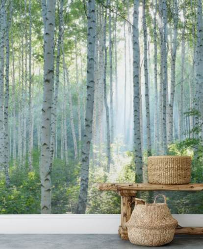 hvidt tilpasseligt birketræ tapetmaleri kaldet White Birch Forest In Summer til stuer