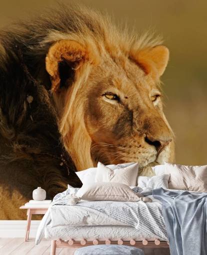 Male Lion Portrait Photography Mural Male Lion Portrait Photography Mural