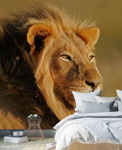 Male Lion Portrait Photography Mural Male Lion Portrait Photography Mural