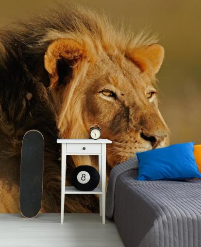 Man Lion porträtt Fotografi Väggmålning