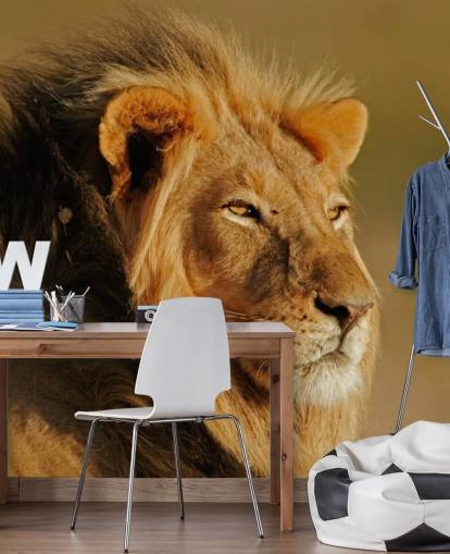 Man Lion porträtt Fotografi Väggmålning Man Lion porträtt Fotografi Väggmålning