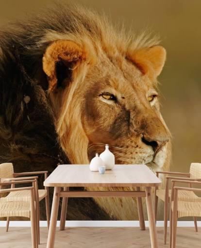 Mand Lion Portræt Fotografi Mural Mand Lion Portræt Fotografi Mural