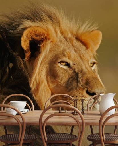 Man Lion porträtt Fotografi Väggmålning