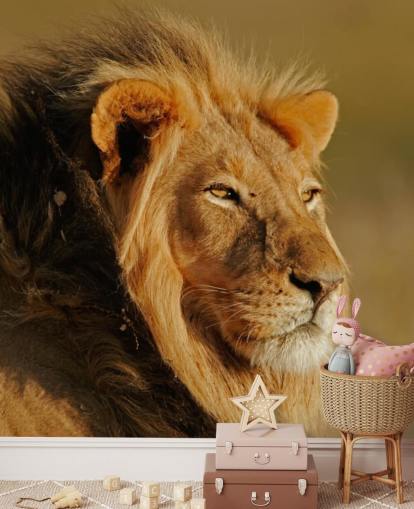 Male Lion Portrait Photography Mural