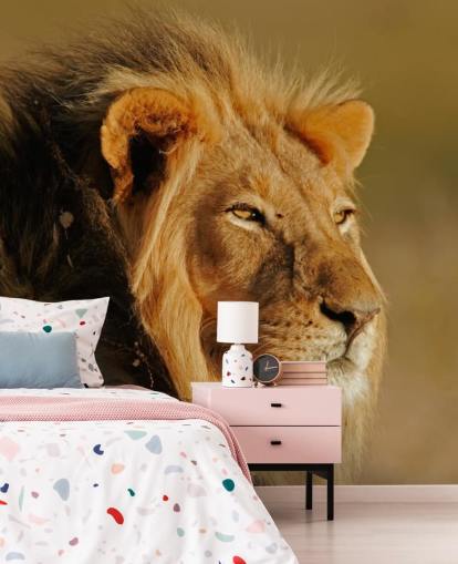 Männlicher Löwe Portrait Fototapete Männlicher Löwe Portrait Fototapete