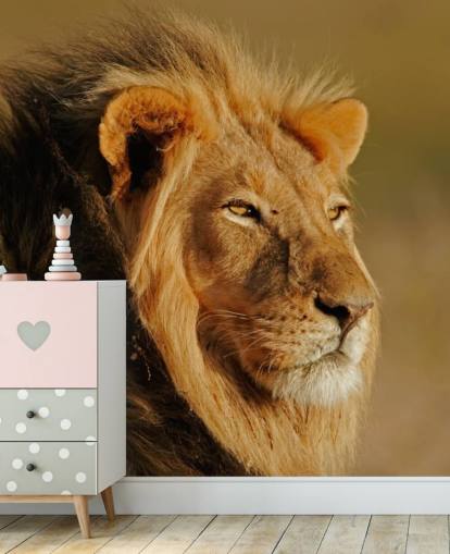 Male Lion Portrait Photography Mural Male Lion Portrait Photography Mural