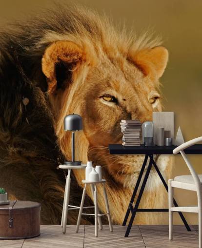 Man Lion porträtt Fotografi Väggmålning