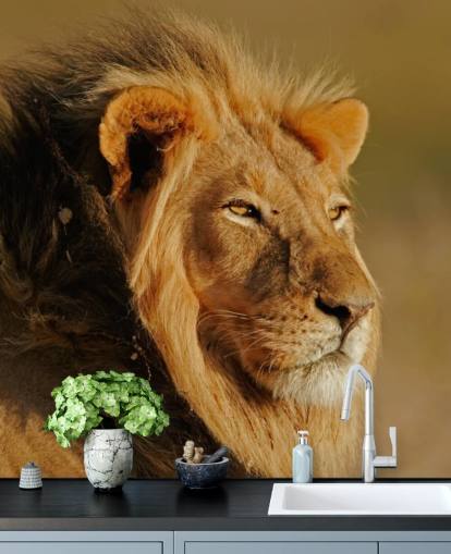 Mand Lion Portræt Fotografi Mural