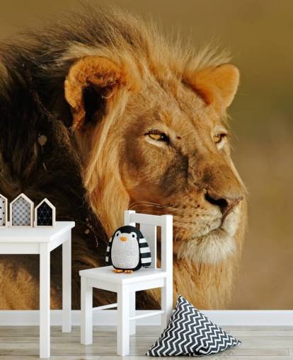 Male Lion Portrait Photography Mural