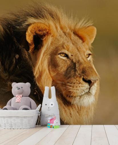 Photo murale de portrait de lion masculin