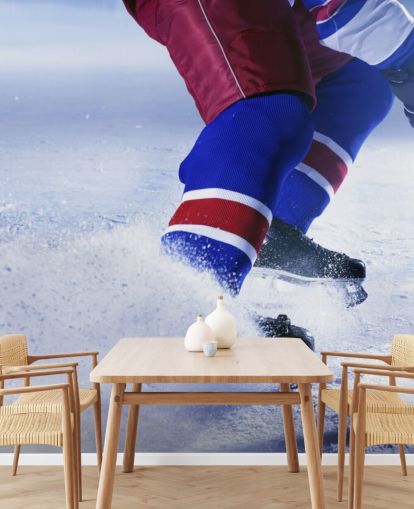 customizable ice hockey wall mural called Ice Hockey Ice for sports clubs and children's bedrooms