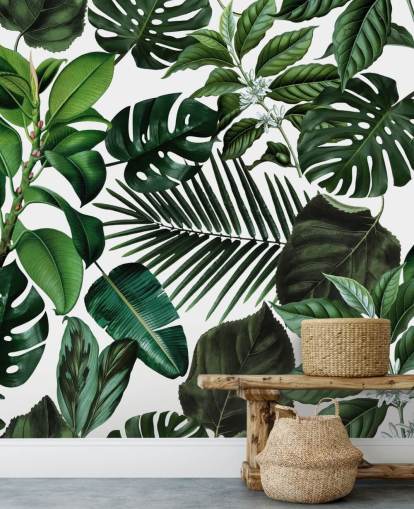 feuilles exotiques vertes papier peint