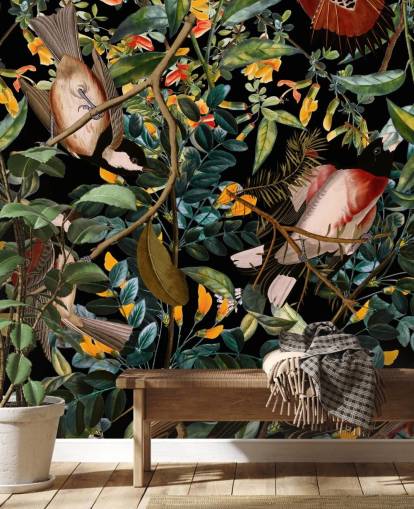 fond d'écran oiseau noir fond d'écran oiseau noir