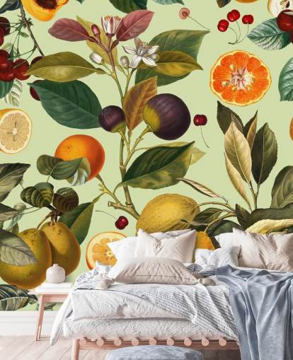 citrusfrugter tapet citrusfrugter tapet