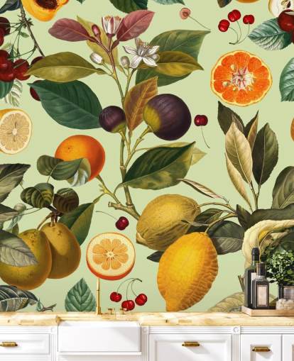 citrusfrugter tapet citrusfrugter tapet