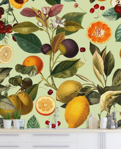 citrusfrukter tapeter citrusfrukter tapeter