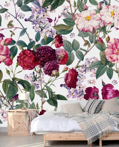 roses et feuilles sur fond blanc fond d'écran