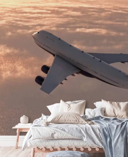 Commercial Plane Wallpaper Mural