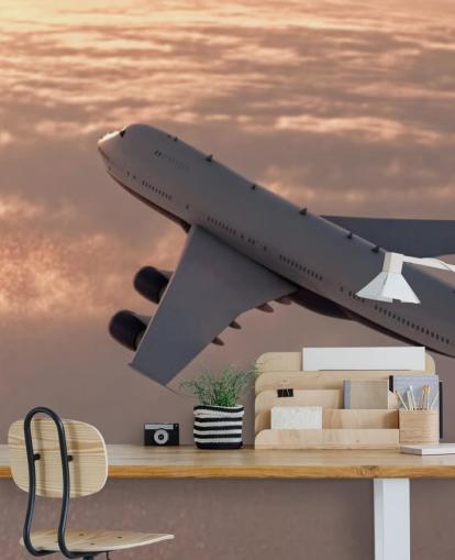 Commercial Plane Wallpaper Mural