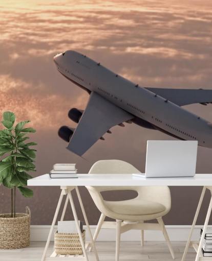 Commercial Plane Wallpaper Mural