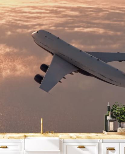 Commercial Plane Tapetmaleri