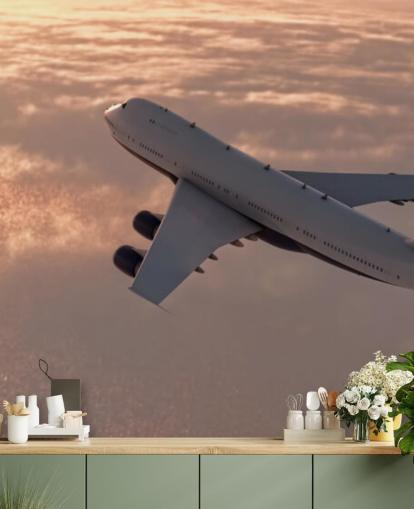 Commercial Plane Wallpaper Mural