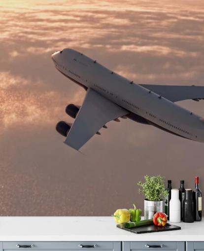 Commercial Plane Wallpaper Mural