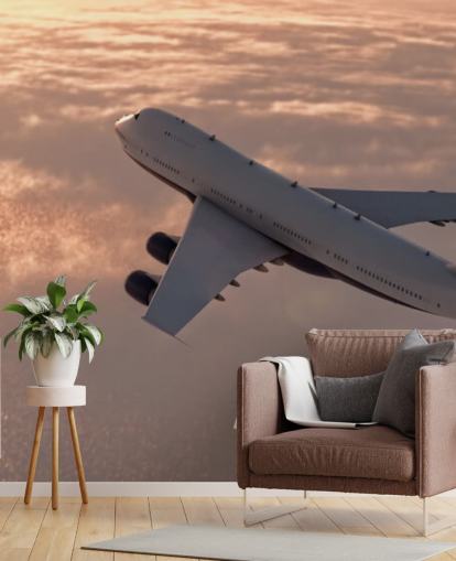 Commercial Plane Wallpaper Mural