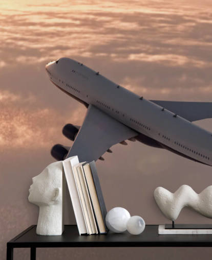 Commercial Plane Wallpaper Mural