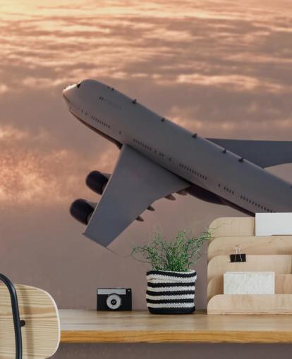 Commercial Plane Wallpaper Mural