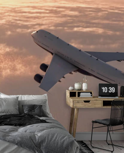 Commercial Plane Tapetmaleri