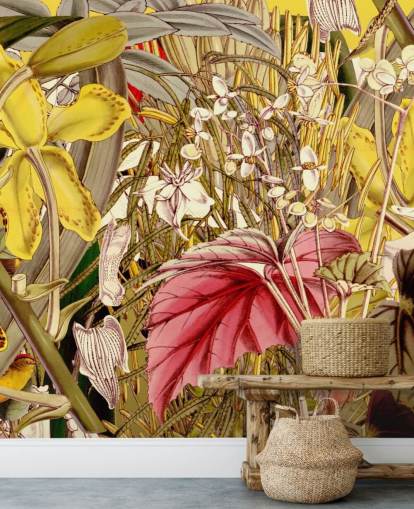 colourful plants wallpaper