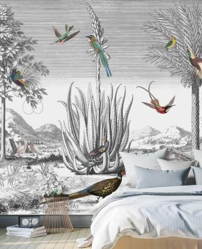 black and white background with colourful birds wallpaper