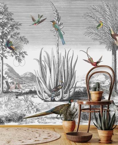 zwart-witte achtergrond met kleurrijk vogelbehang zwart-witte achtergrond met kleurrijk vogelbehang