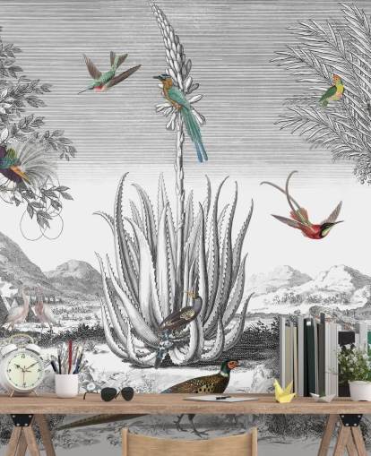 fond noir et blanc avec papier peint oiseaux colorés fond noir et blanc avec papier peint oiseaux colorés