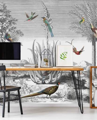 fundo preto e branco com papel de parede de pássaros coloridos